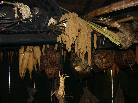 Seed stock stored on the hearth of a farmhouse